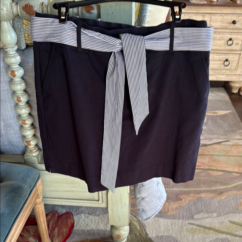 Navy Blue Skirt with Striped Belt